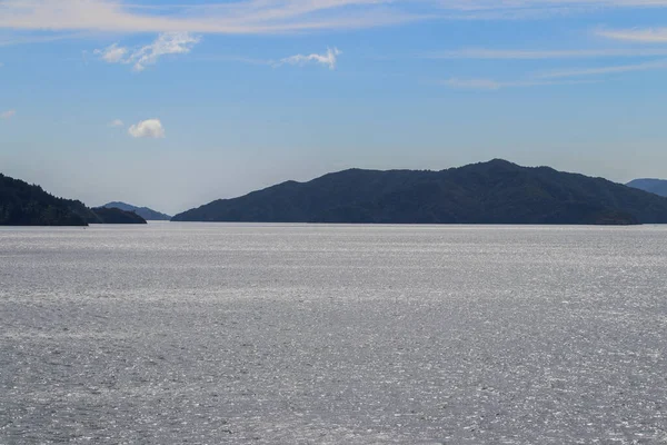 Nieuw Zeelandse Wijngaard Marlborough Februari 2020 — Stockfoto