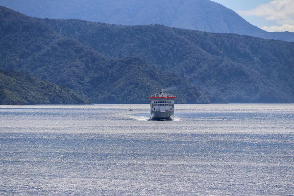 Şubat 2020 'de Marlborough' da Yeni Zelanda üzüm bağı