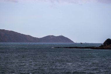 Şubat 2020 'de Marlborough' da Yeni Zelanda üzüm bağı