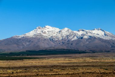 Şubat 2020 'de Queenstown ve Fiordland' daki Yeni Zelanda Güney Adası dağ ve gölleri