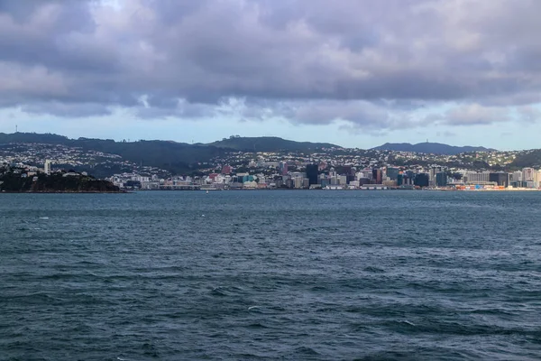 Vinha Nova Zelândia Marlborough Fevereiro 2020 — Fotografia de Stock