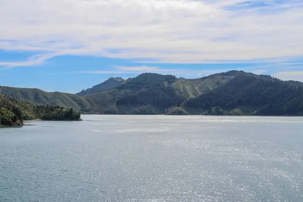 Şubat 2020 Marlborough Yeni Zelanda Üzüm Bağı — Stok fotoğraf
