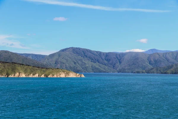 Nieuw Zeelandse Wijngaard Marlborough Februari 2020 — Stockfoto