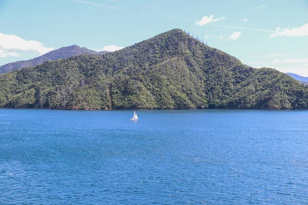 Nieuw Zeelandse Wijngaard Marlborough Februari 2020 — Stockfoto