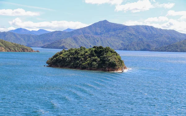 Nieuw Zeelandse Wijngaard Marlborough Februari 2020 — Stockfoto