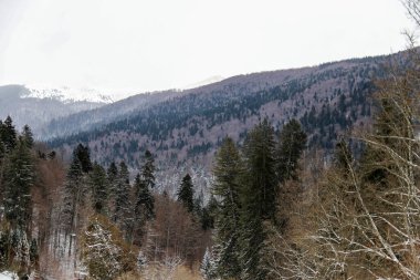 Kışın başında Romanya 'nın ücra bir köyü