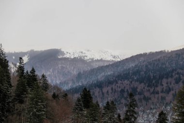 Kışın başında Romanya 'nın ücra bir köyü
