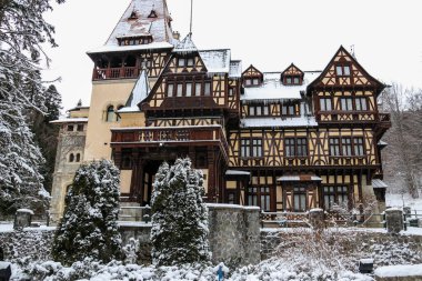 Kışın başında Romanya 'nın ücra bir köyü