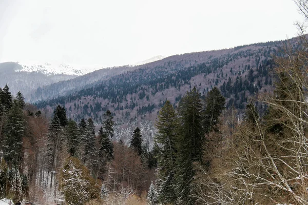 Kışın başında Romanya 'nın ücra bir köyü