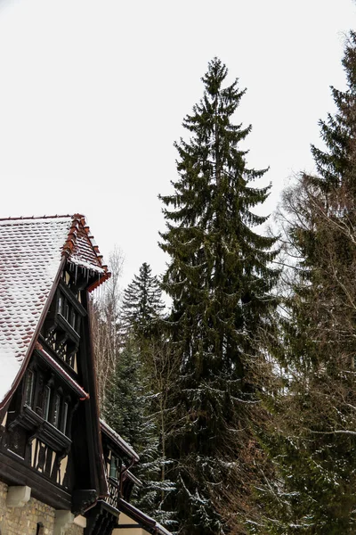 Remote Village Romania Start Winter — Stock Photo, Image