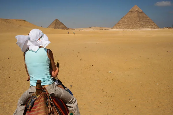 2013年夏のエジプトとカイロ — ストック写真