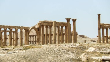 2020 'de Suriye çölündeki antik Palmerya kenti.