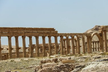 2020 'de Suriye çölündeki antik Palmerya kenti.