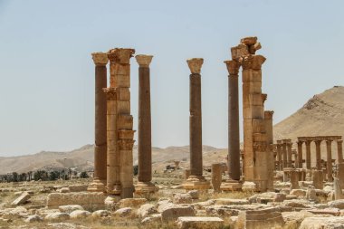 2020 'de Suriye çölündeki antik Palmerya kenti.
