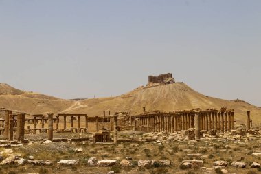 2020 'de Suriye çölündeki antik Palmerya kenti.