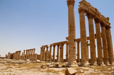 2020 'de Suriye çölündeki antik Palmerya kenti.