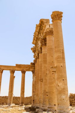 2020 'de Suriye çölündeki antik Palmerya kenti.