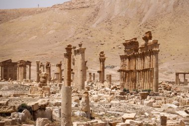 2020 'de Suriye çölündeki antik Palmerya kenti.