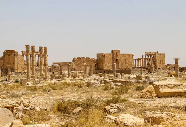 Den Antika Staden Palmerya Den Syriska Öknen 2020 — Stockfoto