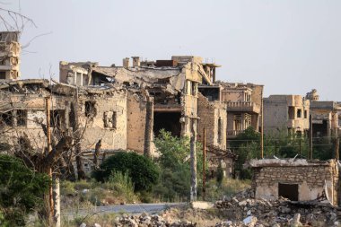 2020 'de Suriye çölündeki antik Palmerya kenti.