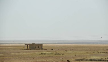 2020 'de Suriye çölündeki antik Palmerya kenti.