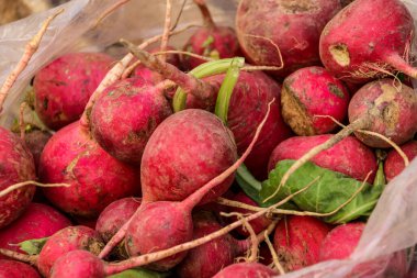 Dier Ez Zior şehri 2020 'de IŞİD tarafından yok edildi. 