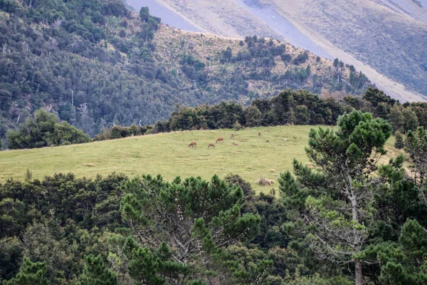 2020 Yılının Ocak Ayında Kabil Celalabad Arasında Kış Sonunda Uçuş — Stok fotoğraf