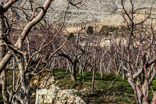 Wakan Valley Afghanistan Naast Chinese Pakistaanse Tadzjikistan Grens — Stockfoto