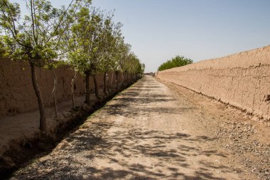 2020 kışında Afganistan Herat 'ta