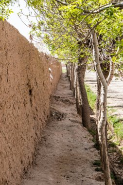 2020 kışında Afganistan Herat 'ta