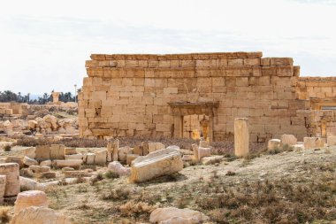 2020 'de Suriye çölündeki antik Palmerya kenti.