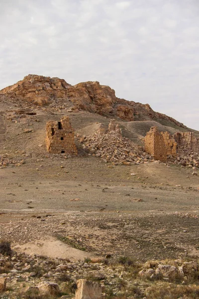 Antica Città Palmerya Nel Deserto Siriano Nel 2020 — Foto Stock