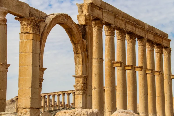 2020 Suriye Çölündeki Antik Palmerya Kenti — Stok fotoğraf
