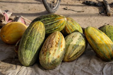 2020 yazında Afganistan 'dan Özbekistan' a çölden arabayla gitmek