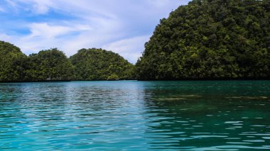 Pasifik 'in kuzeyindeki Palau.
