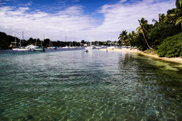 Vanuatu after cyclone Pam destruction