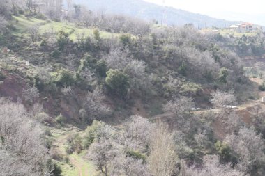 Lübnan 2020 kışında dağlarda