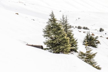 Lübnan 2020 kışında dağlarda