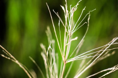 Lübnan 2020 kışında dağlarda