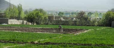 Afganistan Gardez 'de eski zırhlı araçlar askeri eskortlar, silahlar ve tanklar.