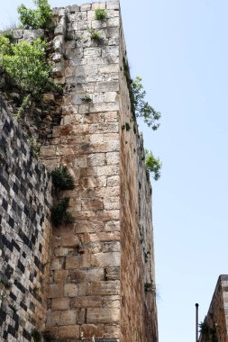 Kuzey Suriye 'de Halep, IŞİD ile en kötü çatışmaların yaşandığı yer..