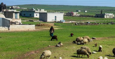 Yenilen IŞİD 'in ardından Suriye askeri operasyonları