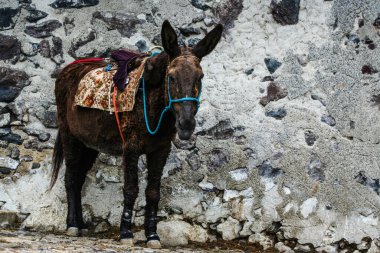 Santorini uzun ve sıcak yazda Yunanistan 'da 