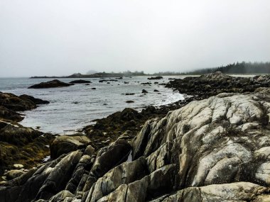 Kanada 2020 yazında.