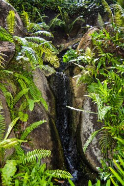 Vietnam ve Kamboçya 2020 yazında