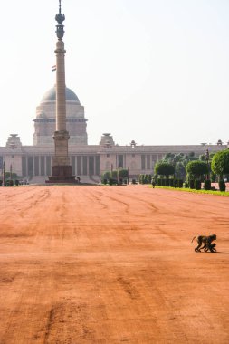 Vietnam ve Kamboçya 2020 yazında