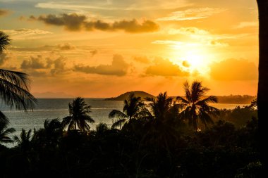 Vietnam ve Kamboçya 2020 yazında