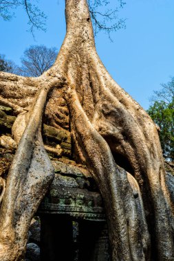 Vietnam ve Kamboçya 2020 yazında