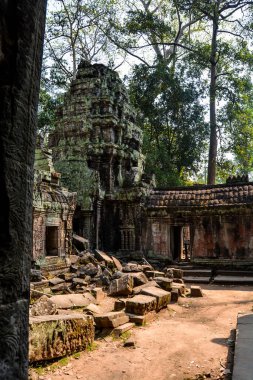 Vietnam ve Kamboçya 2020 yazında