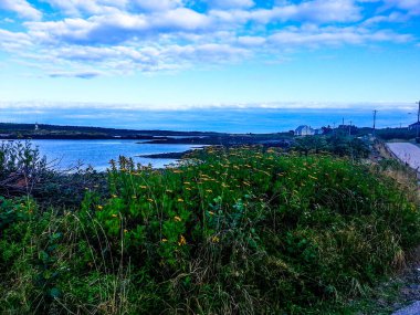 2019 yazında Nijerya